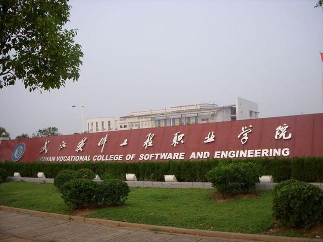 湖北省武漢市江夏區(qū)28所高校軟件工程專業(yè)概覽